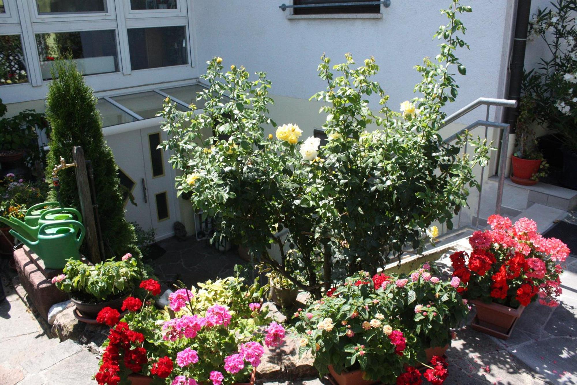 Ferienwohnung Burger Sasbach am Kaiserstuhl Luaran gambar