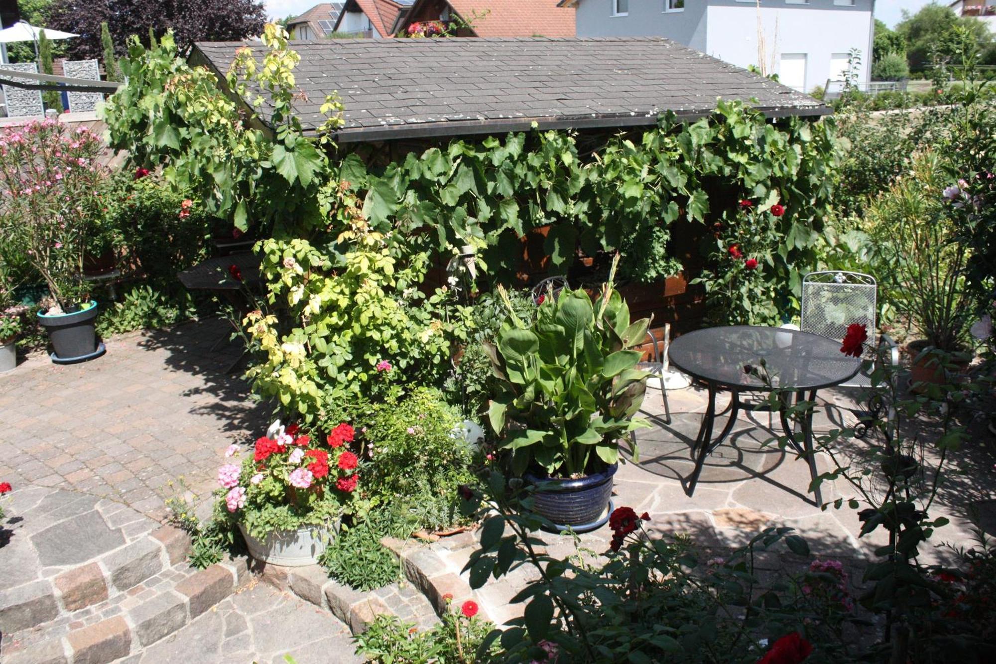 Ferienwohnung Burger Sasbach am Kaiserstuhl Luaran gambar